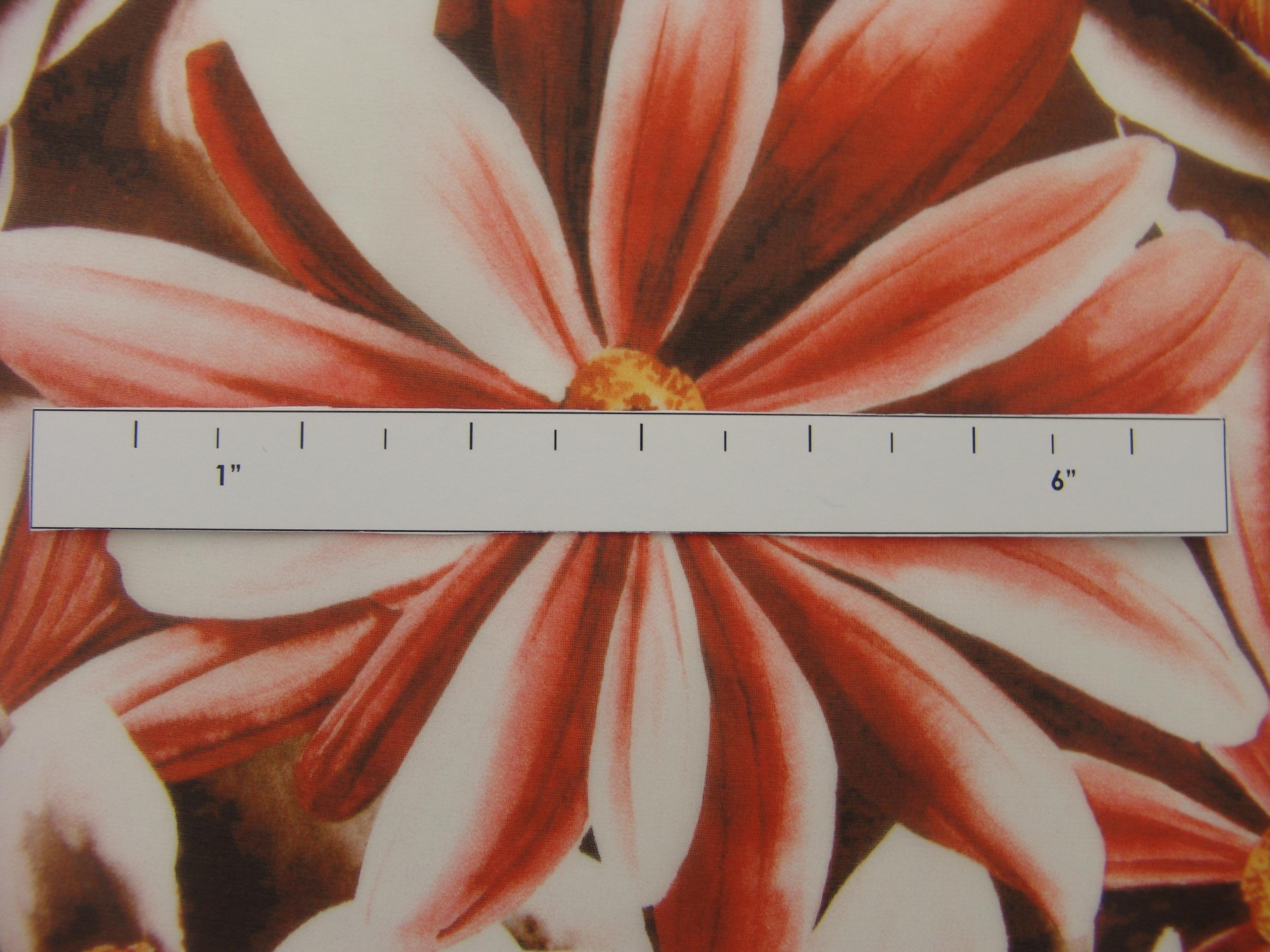 Printed Silk Chiffon2