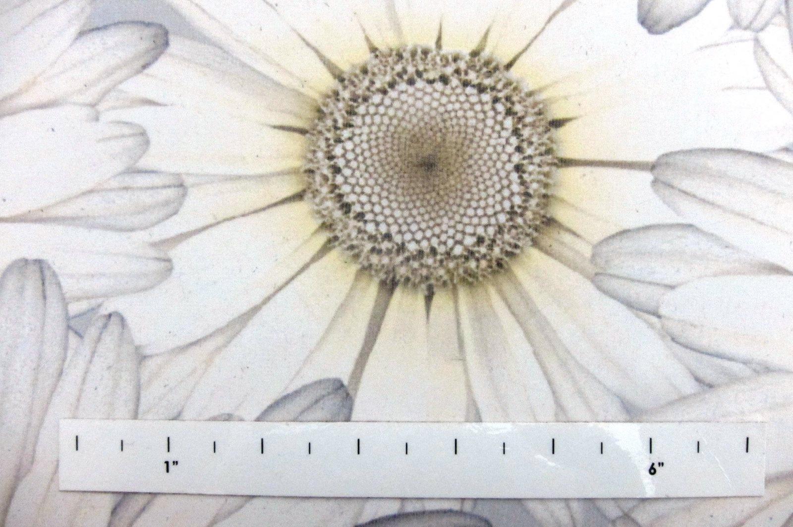 Printed Silk Chiffon1