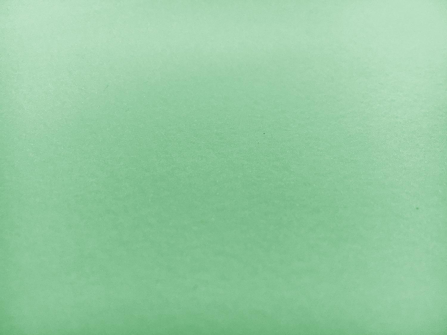 Japanese Pebbled Poly Organza in Mint0