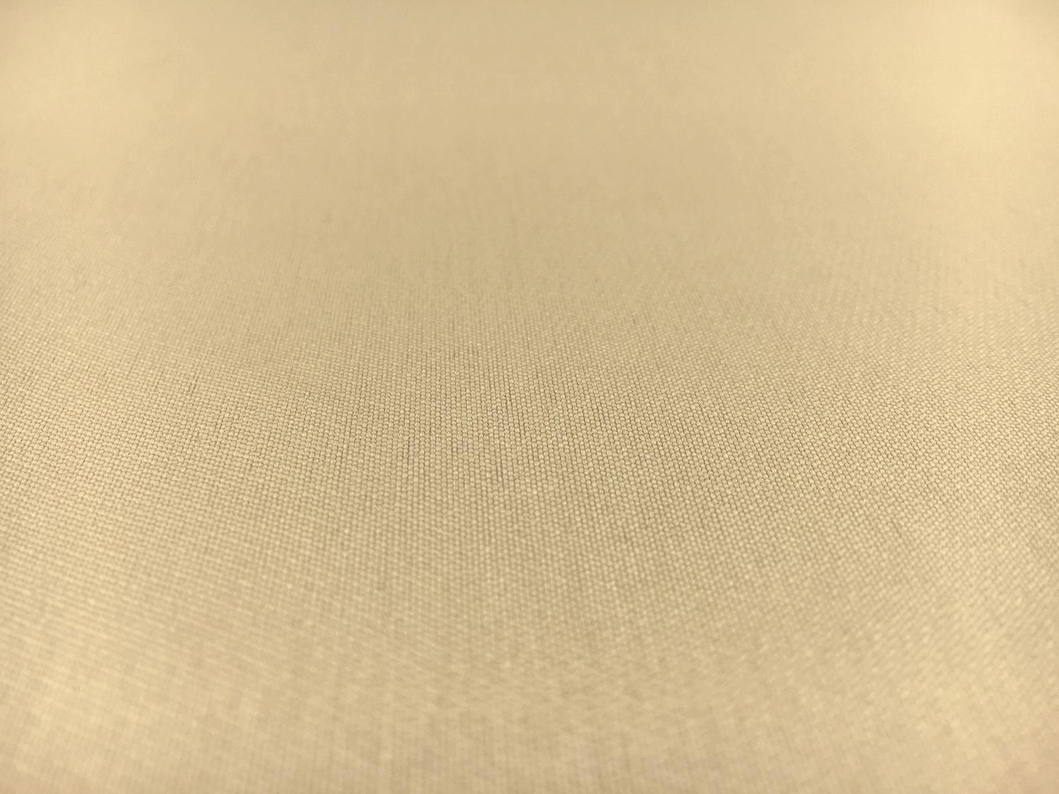 Silk and Polyester Zibeline in Nude1