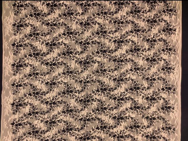 Embroidered Chantilly Lace3