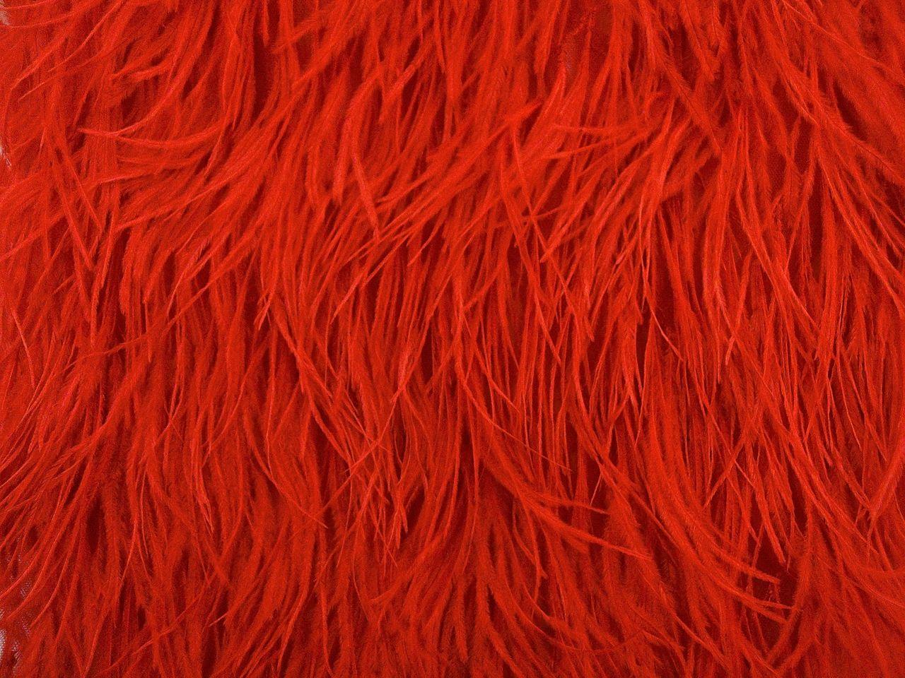 Ostrich Feather Trimmed Illusion0