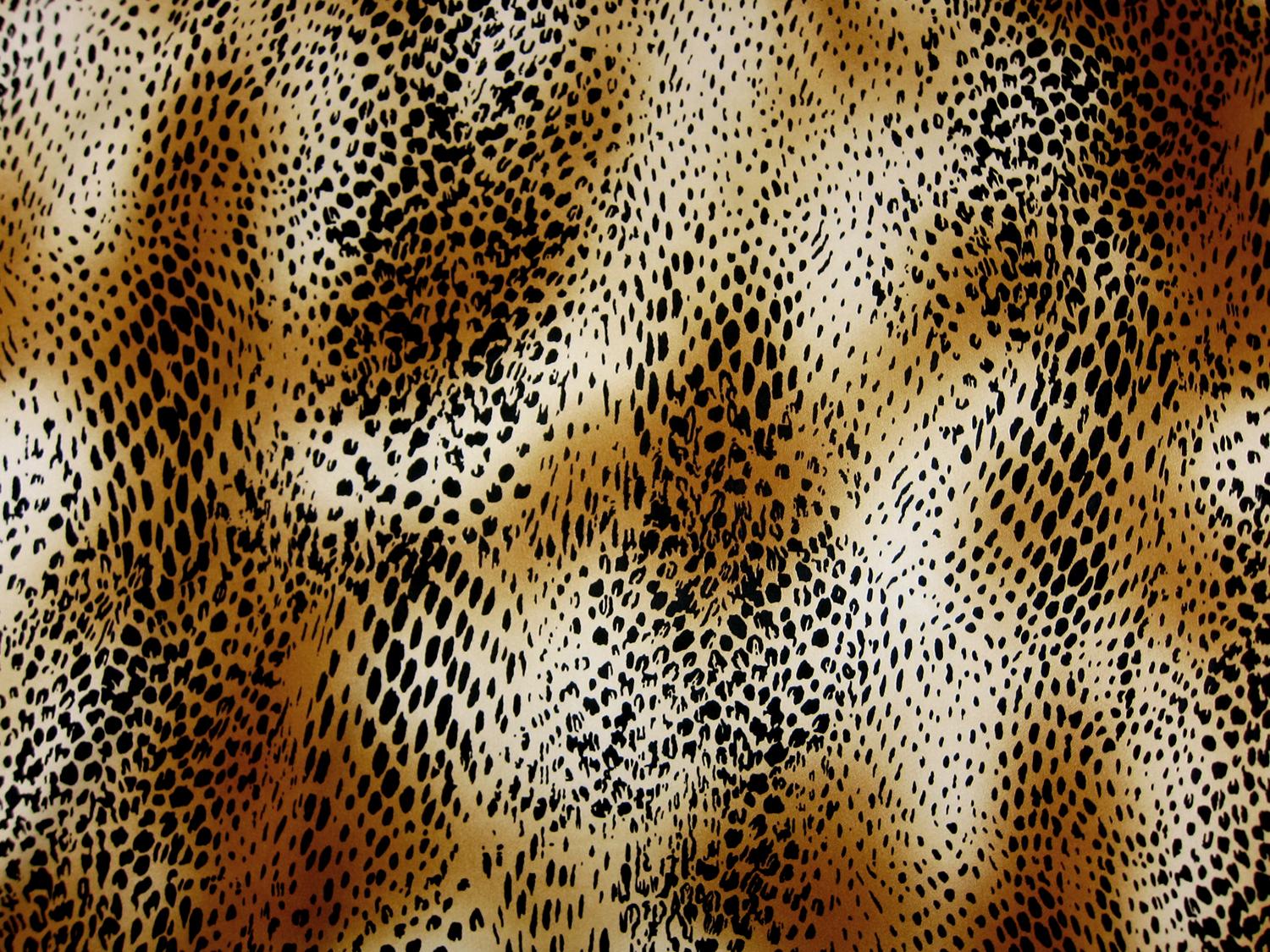 Printed Silk Charmeuse0