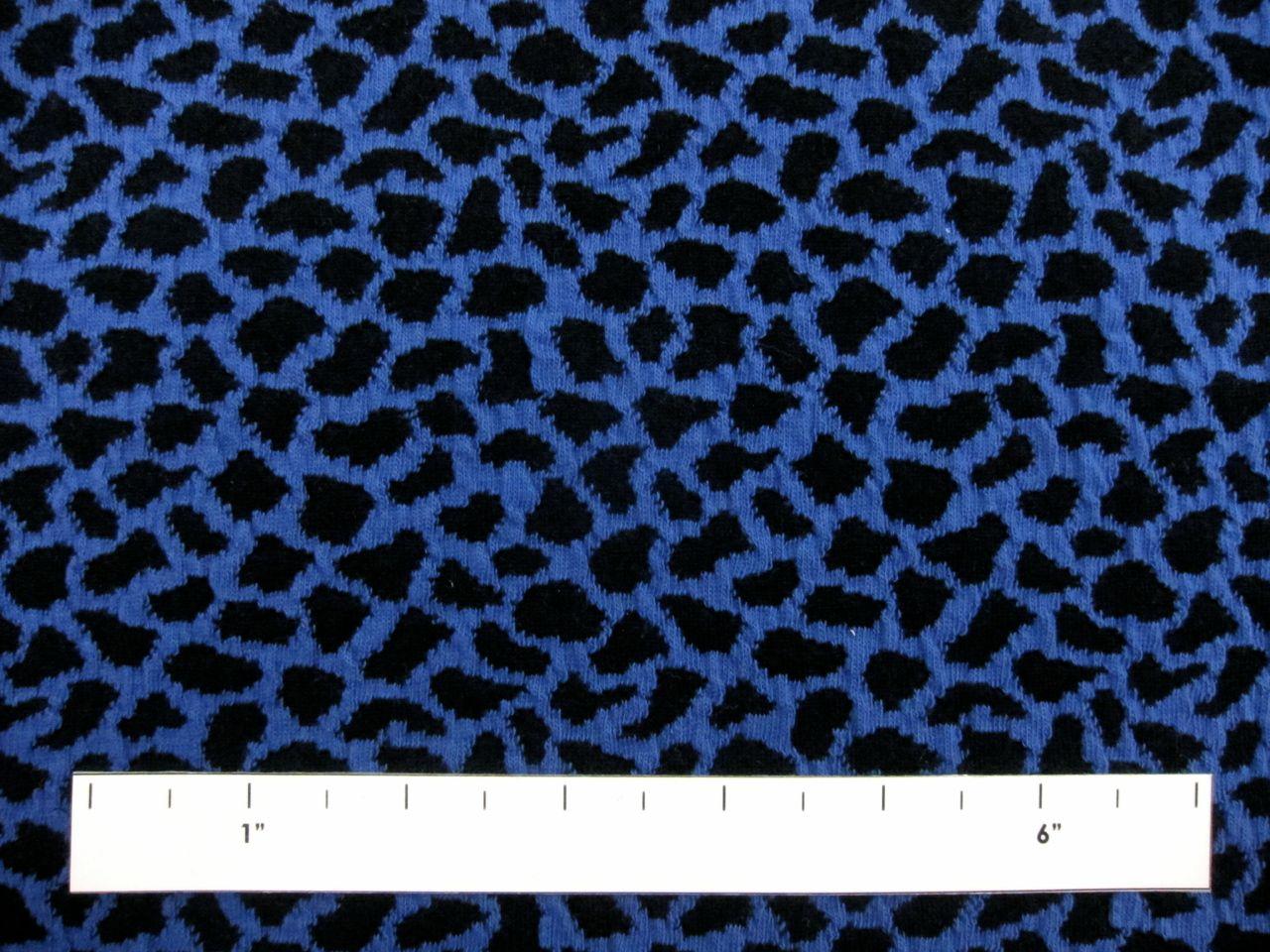 Cotton Blend Knit With Animal Print in Cobalt1