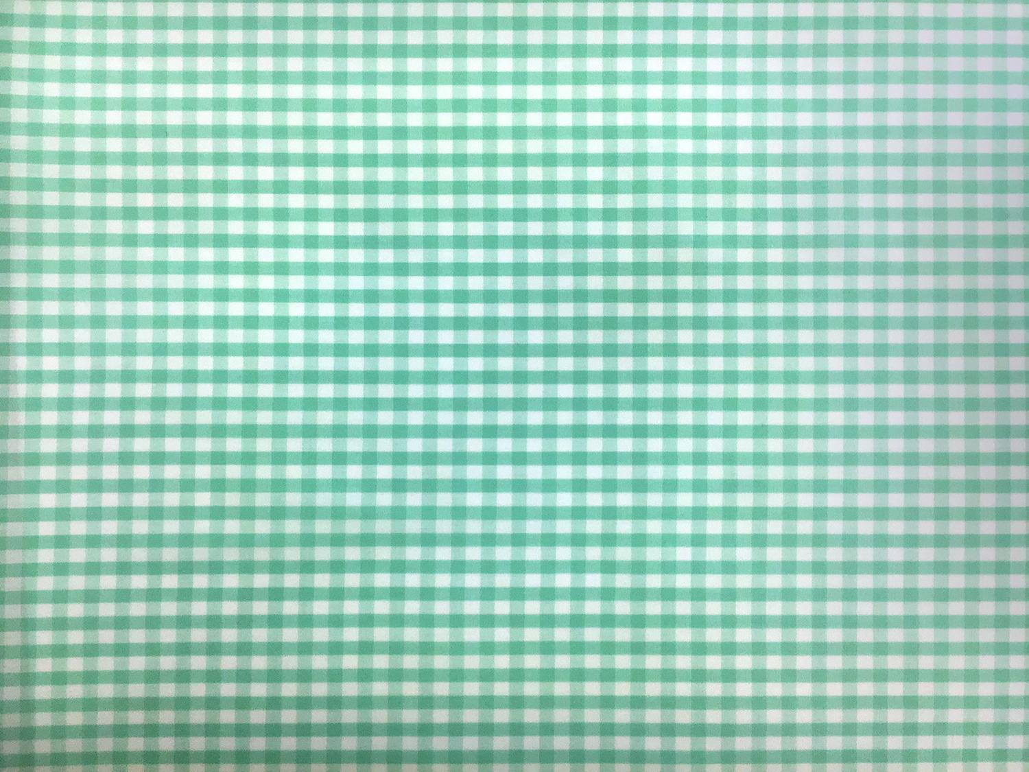 1/4" Cotton Gingham in Seafoam0