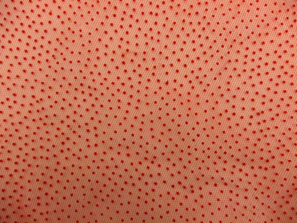 Polka Dot Flocking on Tulle0