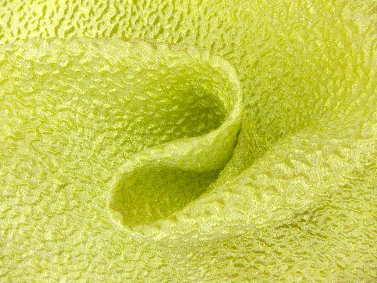 Silk Blend Organza Cloqué1