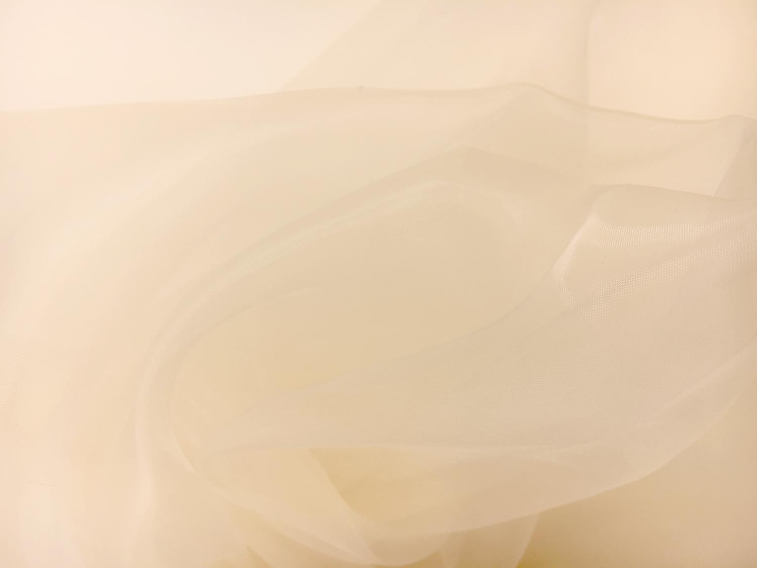 Japanese Polyester Extra Fine Organza in Cream0