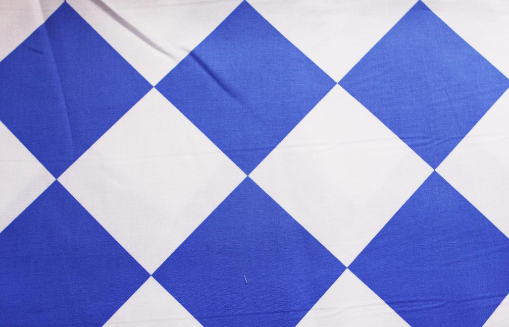 Printed Cotton Canvas0