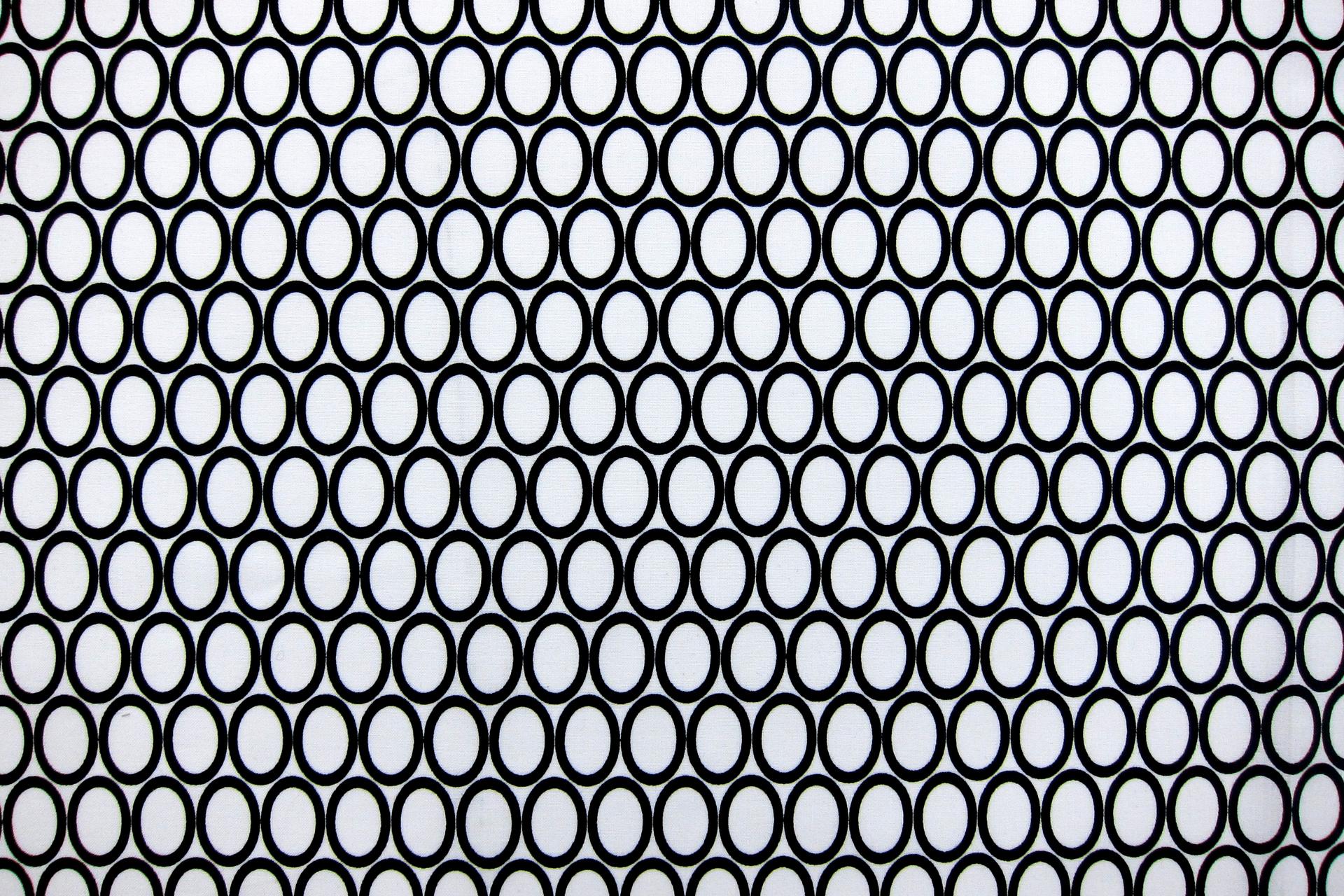 Cotton Broadcloth Print0