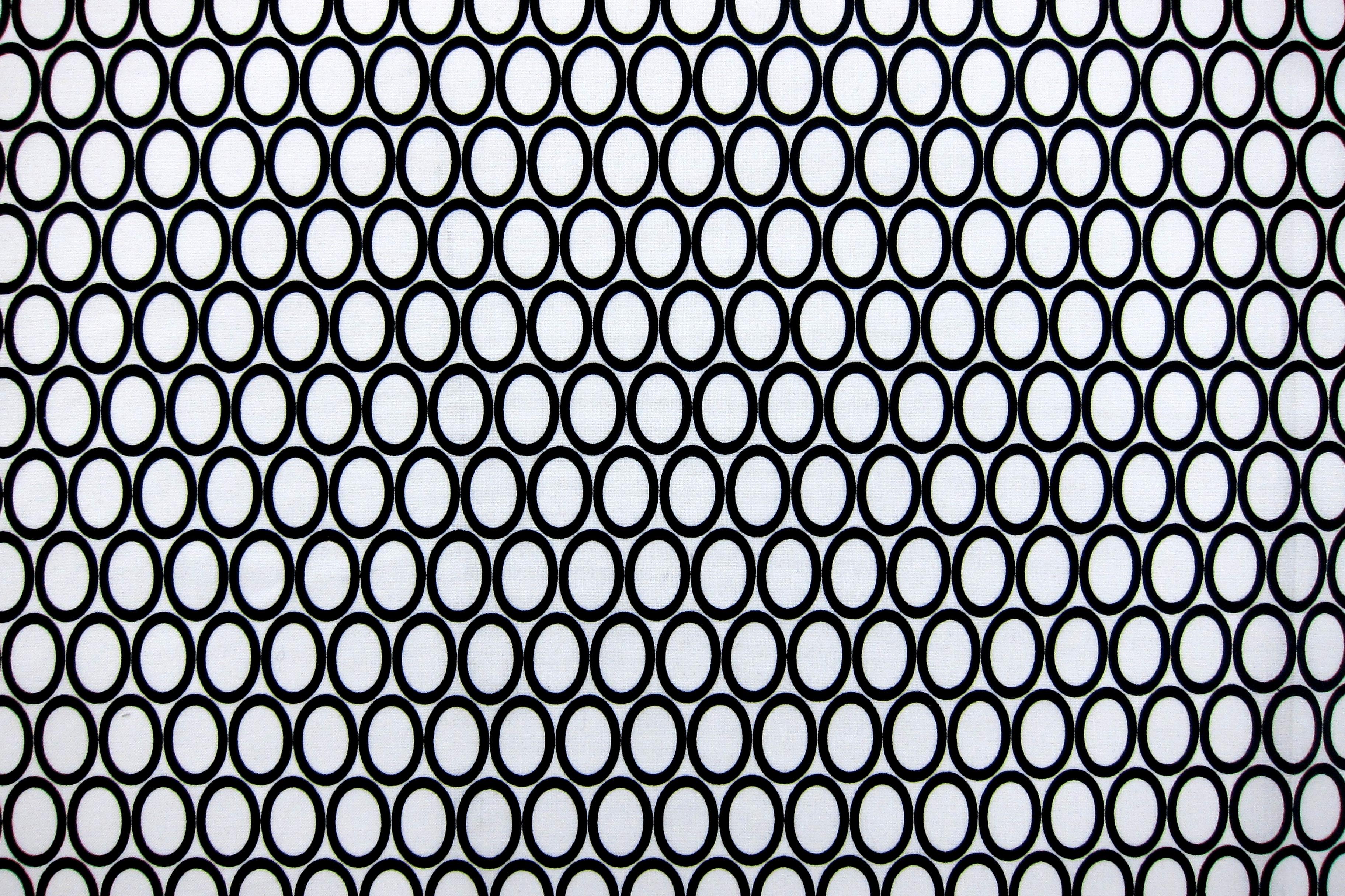 Cotton Broadcloth Print0