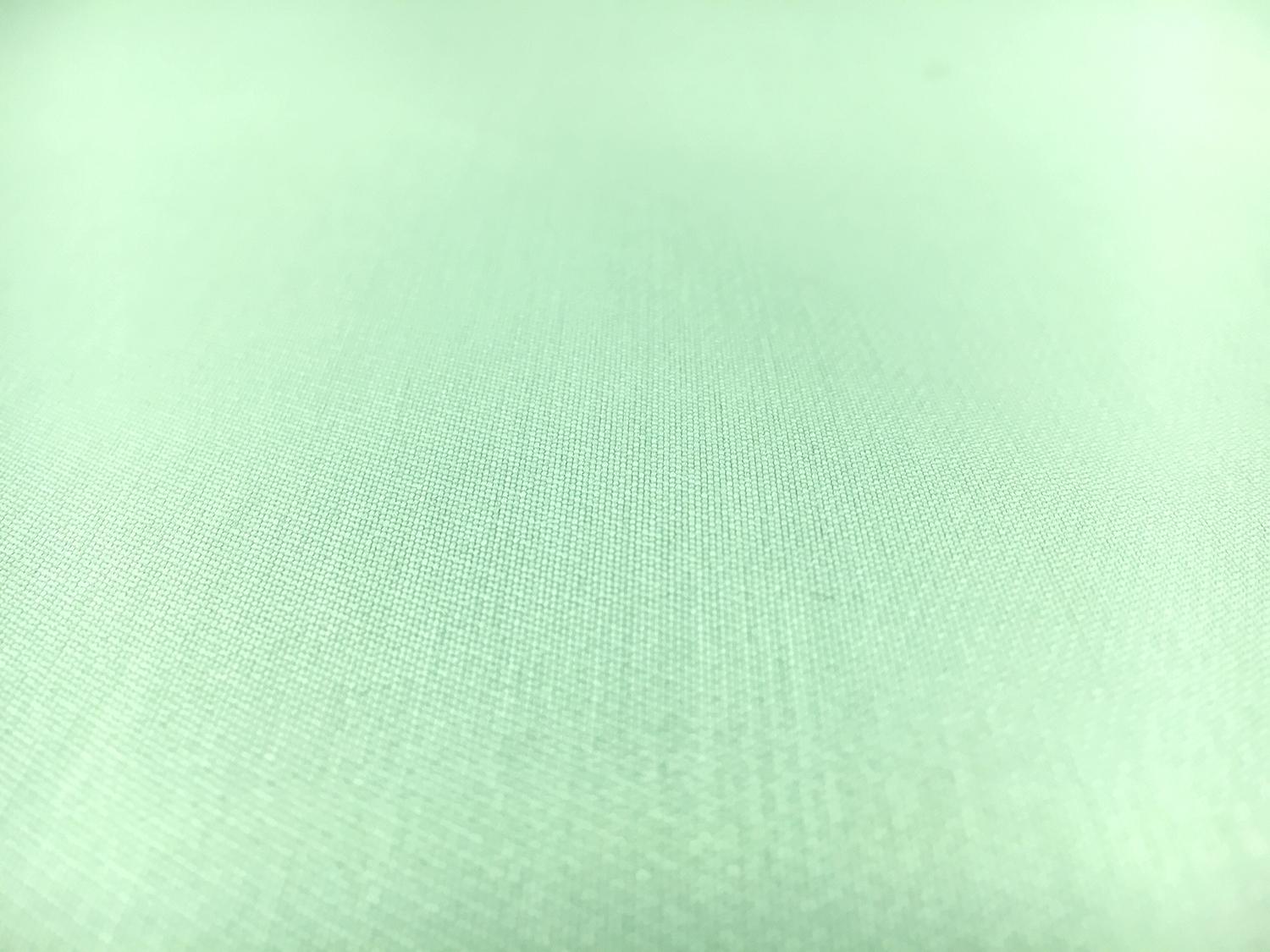 Silk and Polyester Zibeline in Mint1