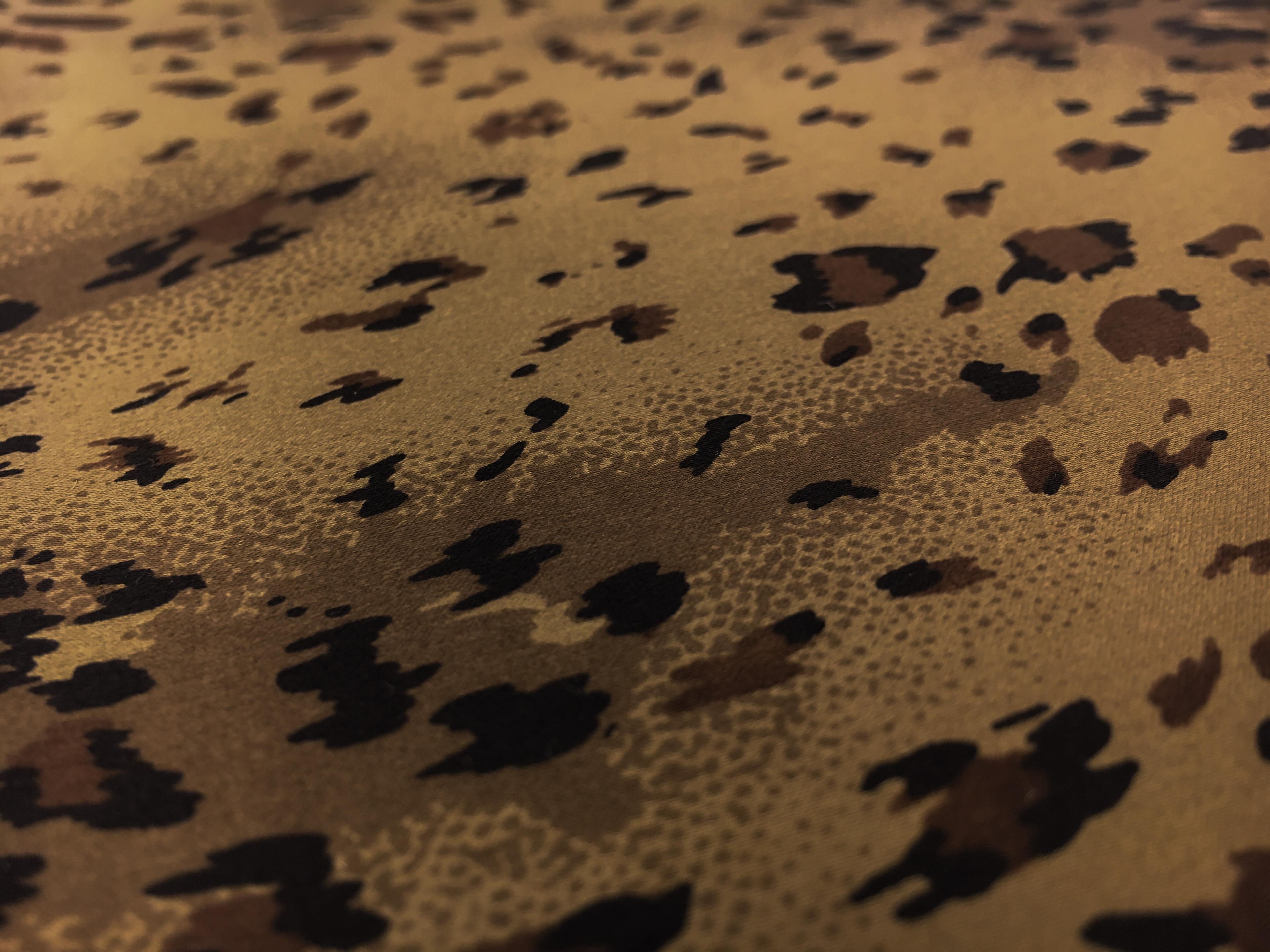 Printed Silk Charmeuse2