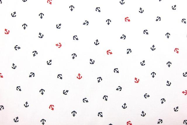 Japanese Cotton Broadcloth Print1