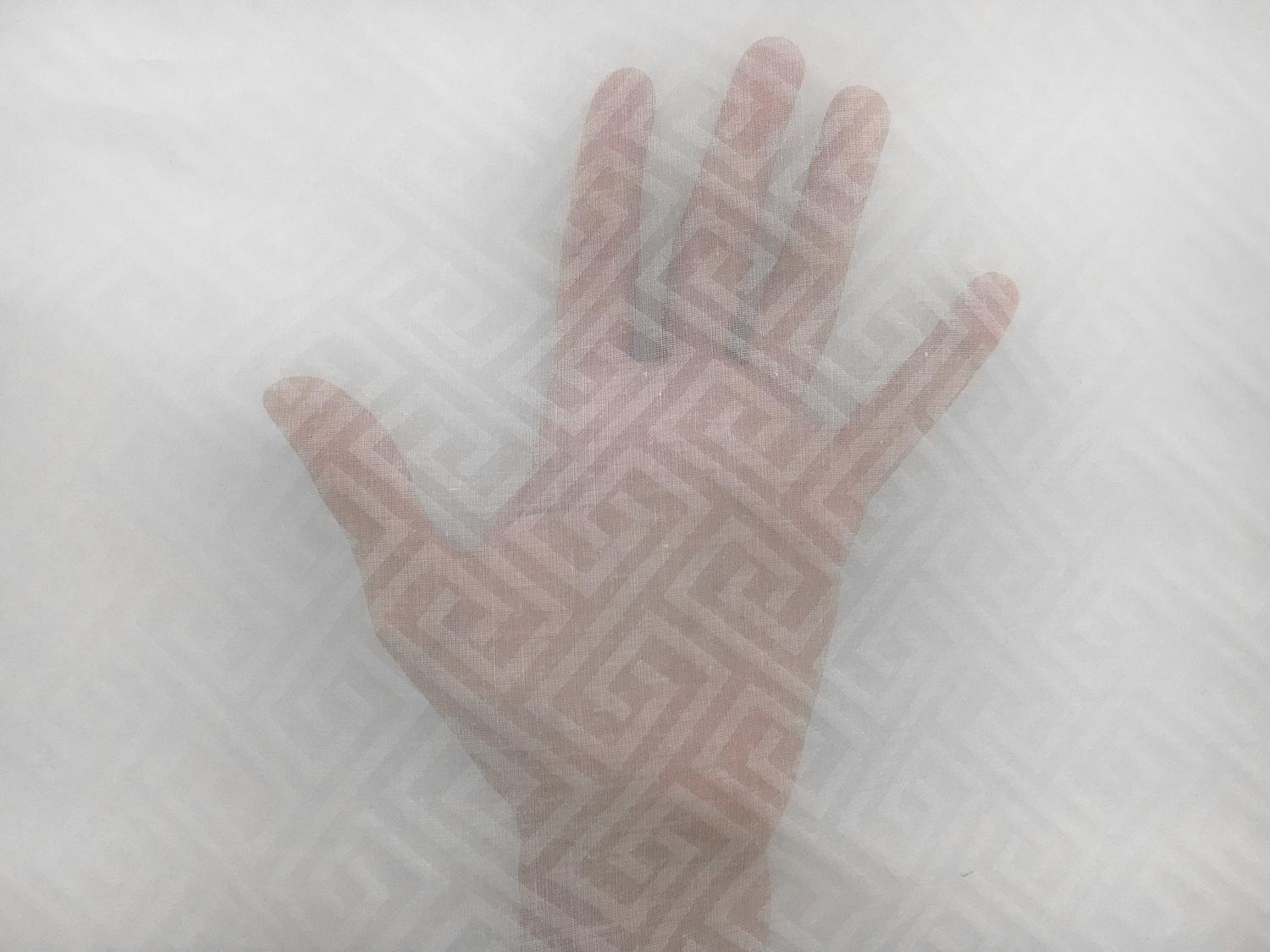 Swiss Cotton Organdy Novelty with Art Deco Pattern3