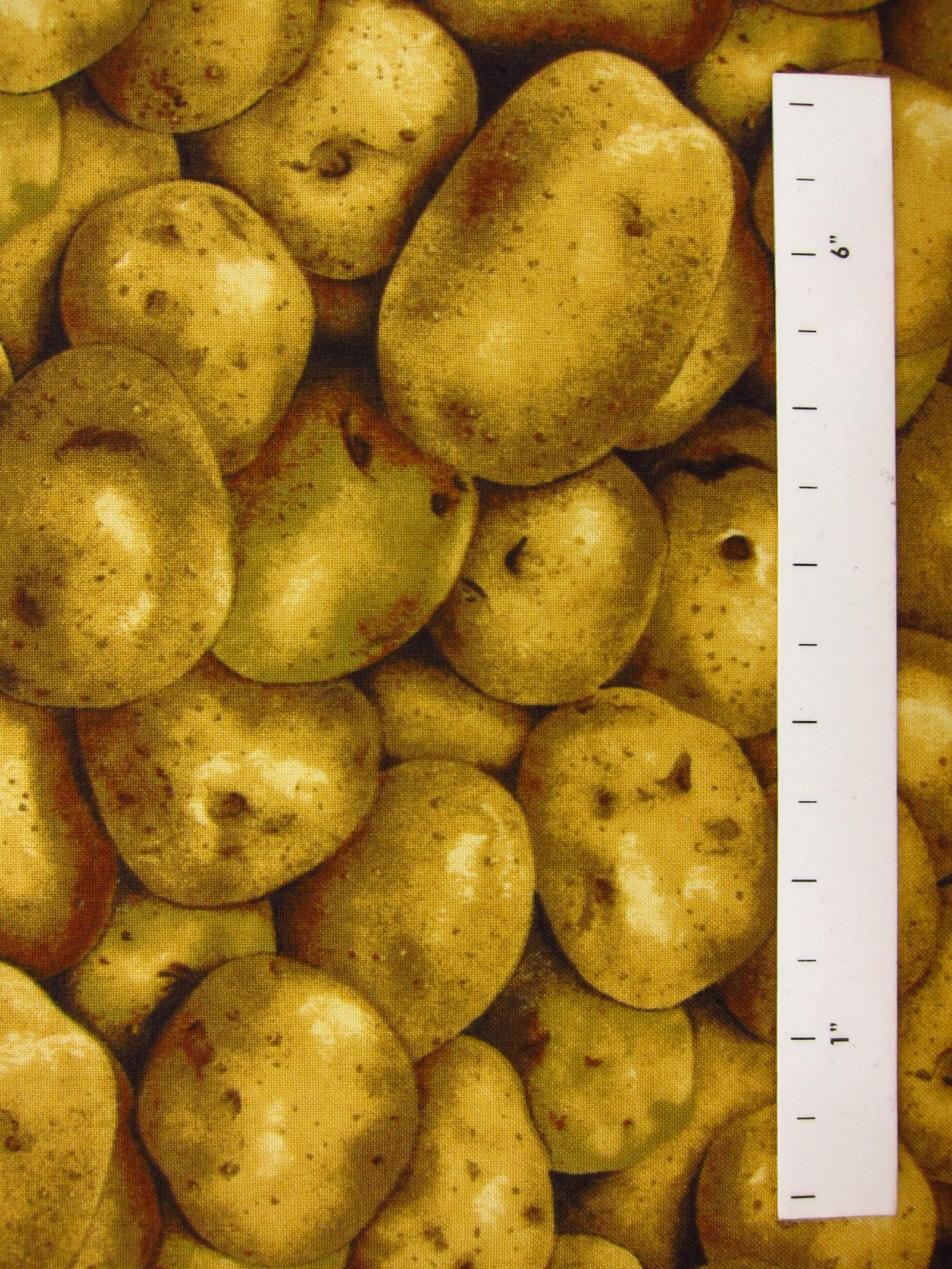 Cotton Broadcloth Print1