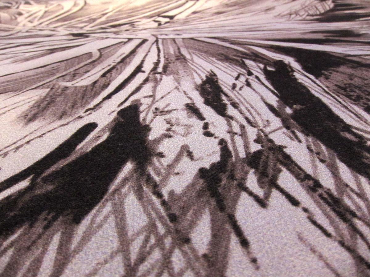 Printed Silk Satin Chiffon1