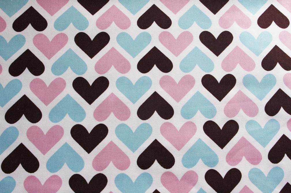 Printed Cotton Canvas0