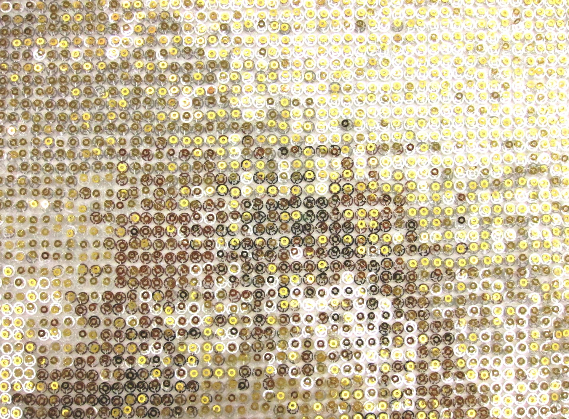 Layered Sequins on Novelty Mesh0