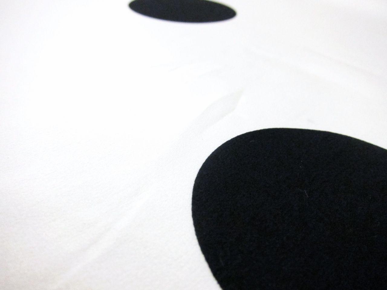 Printed Silk Charmeuse2