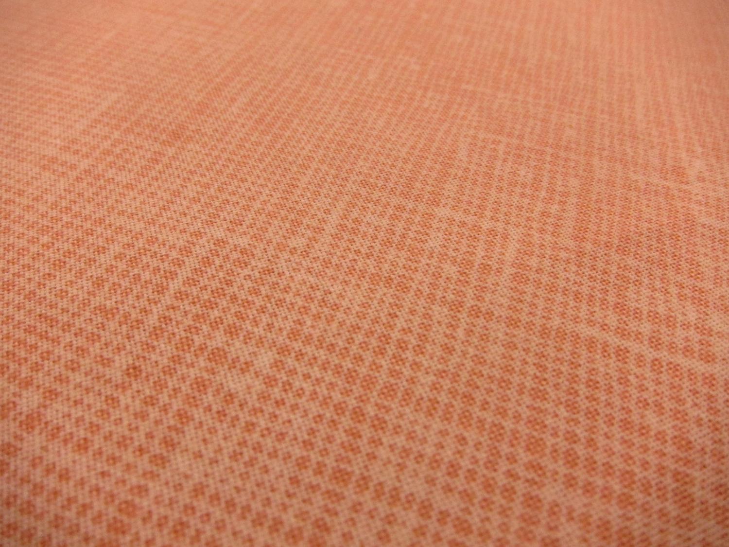 Cotton Broadcloth Print 0