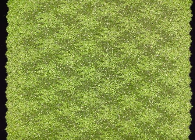 Beaded Chantilly Lace3