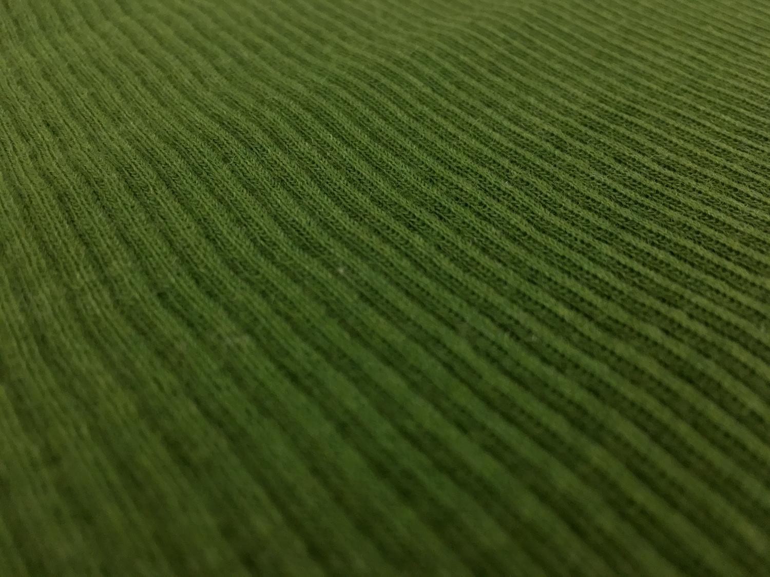 Virgin Wool Rib Knit in Moss2