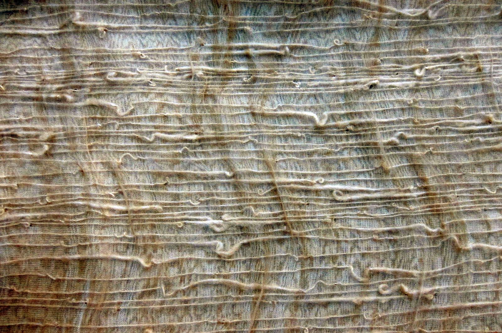 Novelty Silk Nylon Organza0