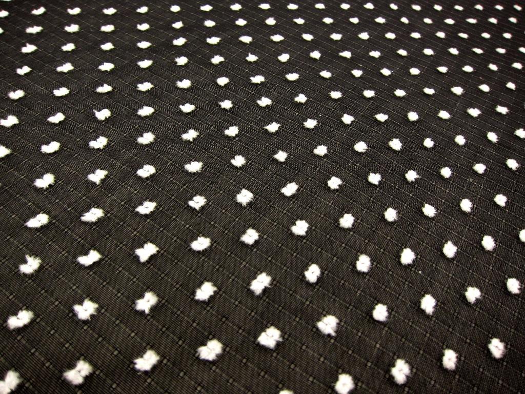 Cotton Plumetis in Black and White0