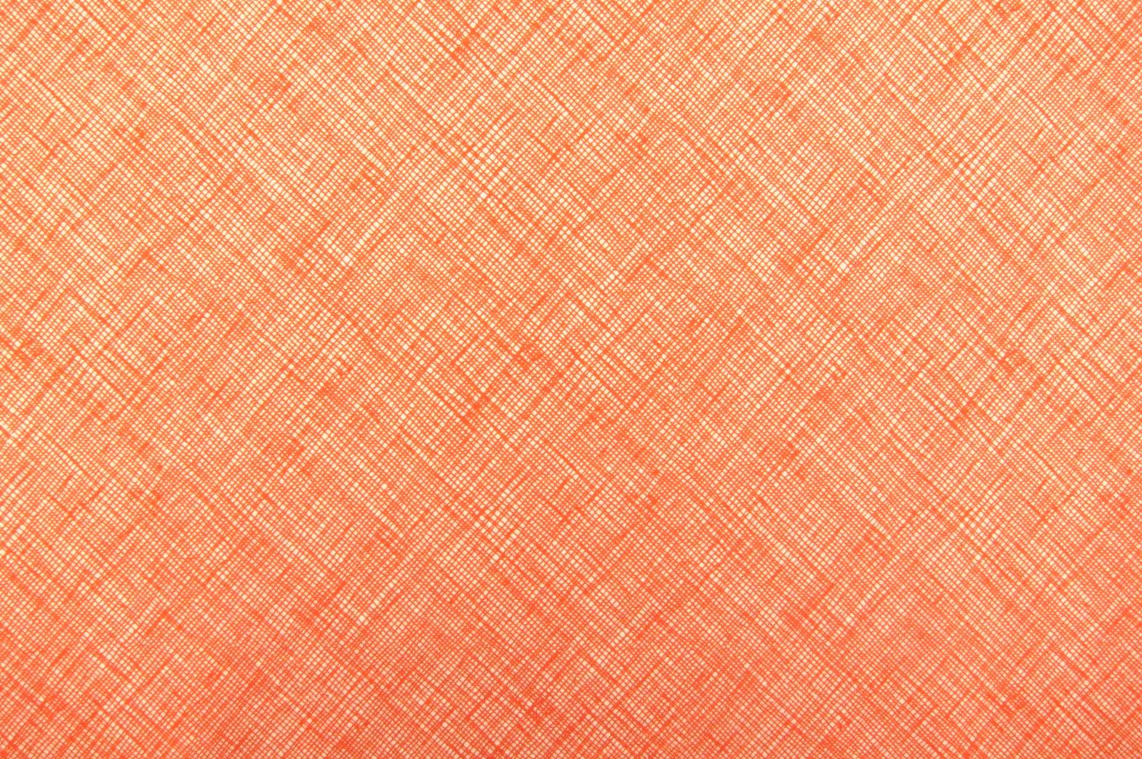 Cotton Broadcloth Print0