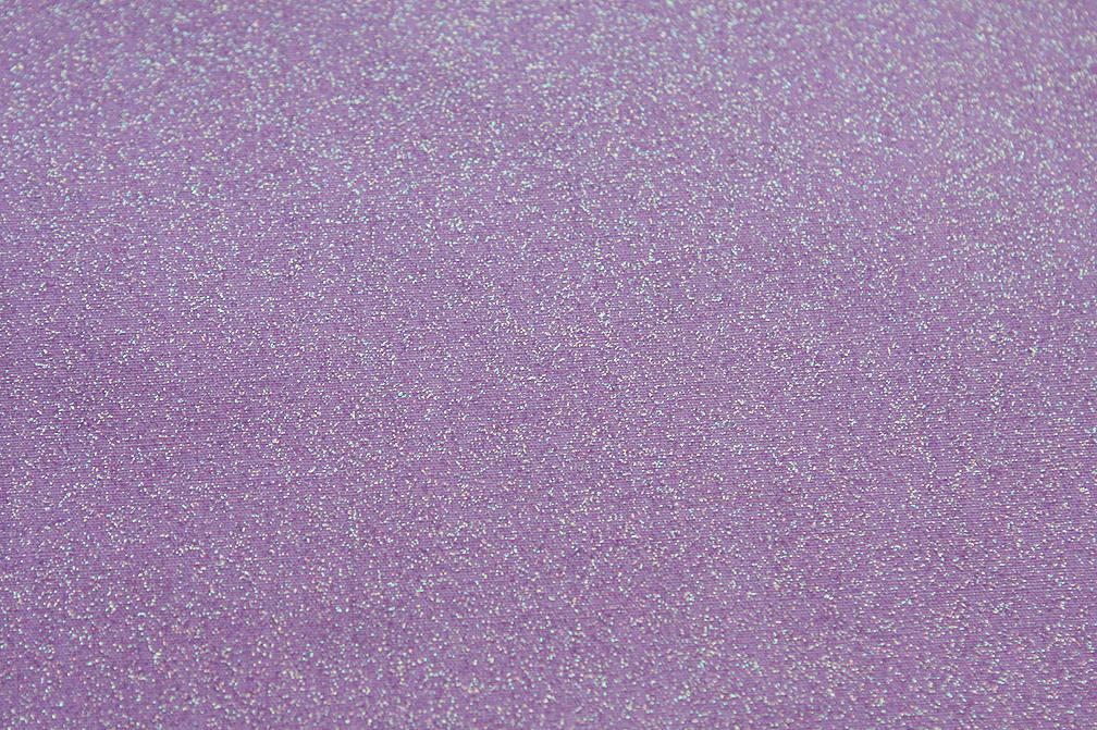 Light Weight Sparkle Canvas2