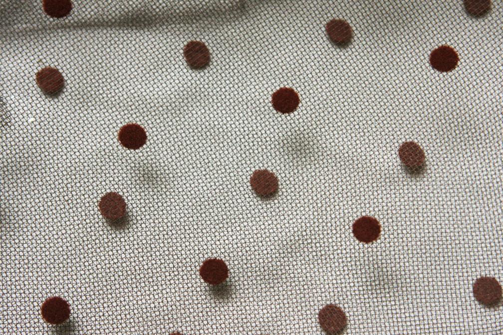 Flocked Dots on Illusion2