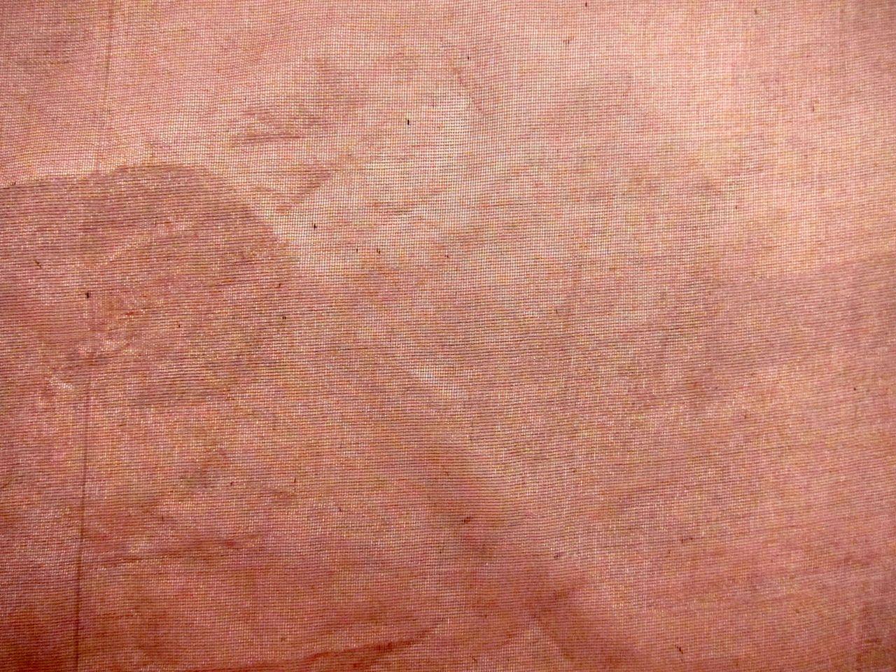 Metallic Silk Organza1