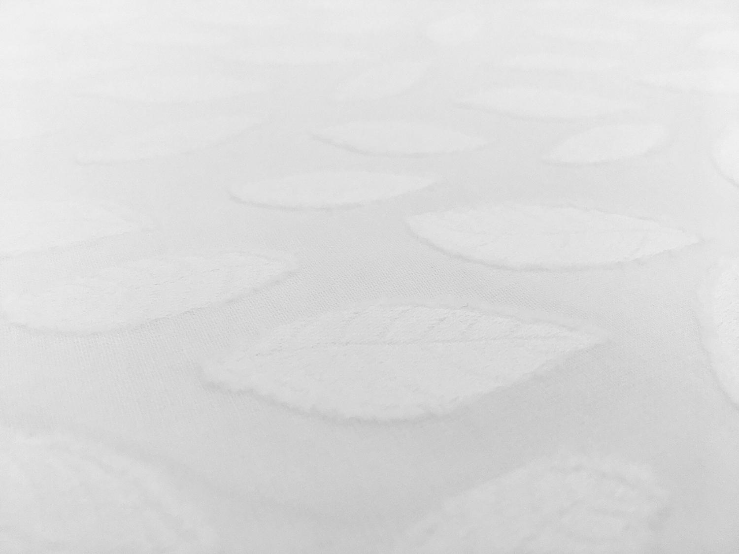 Italian Cotton Voile Fil Coupé with Leaves Motif2