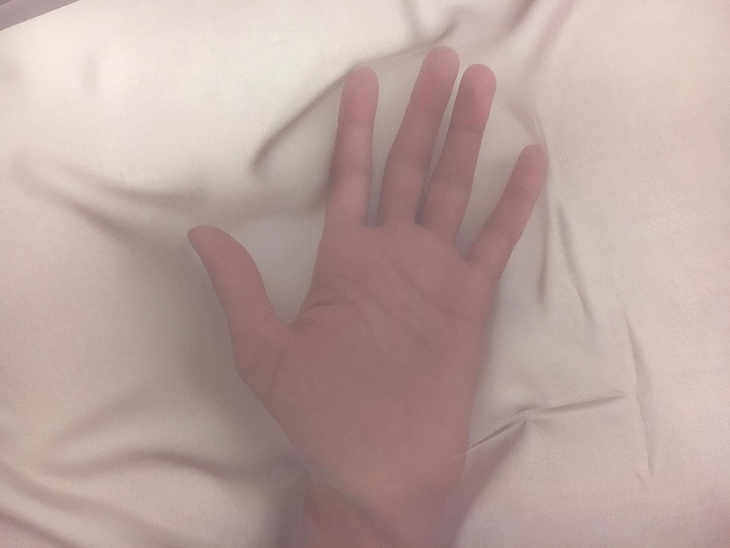 Japanese Polyester Chiffon in Taupe2