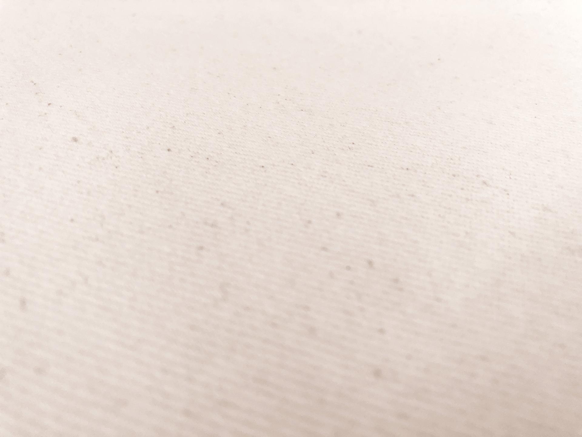 12oz Brushed Cotton Denim in Natural0