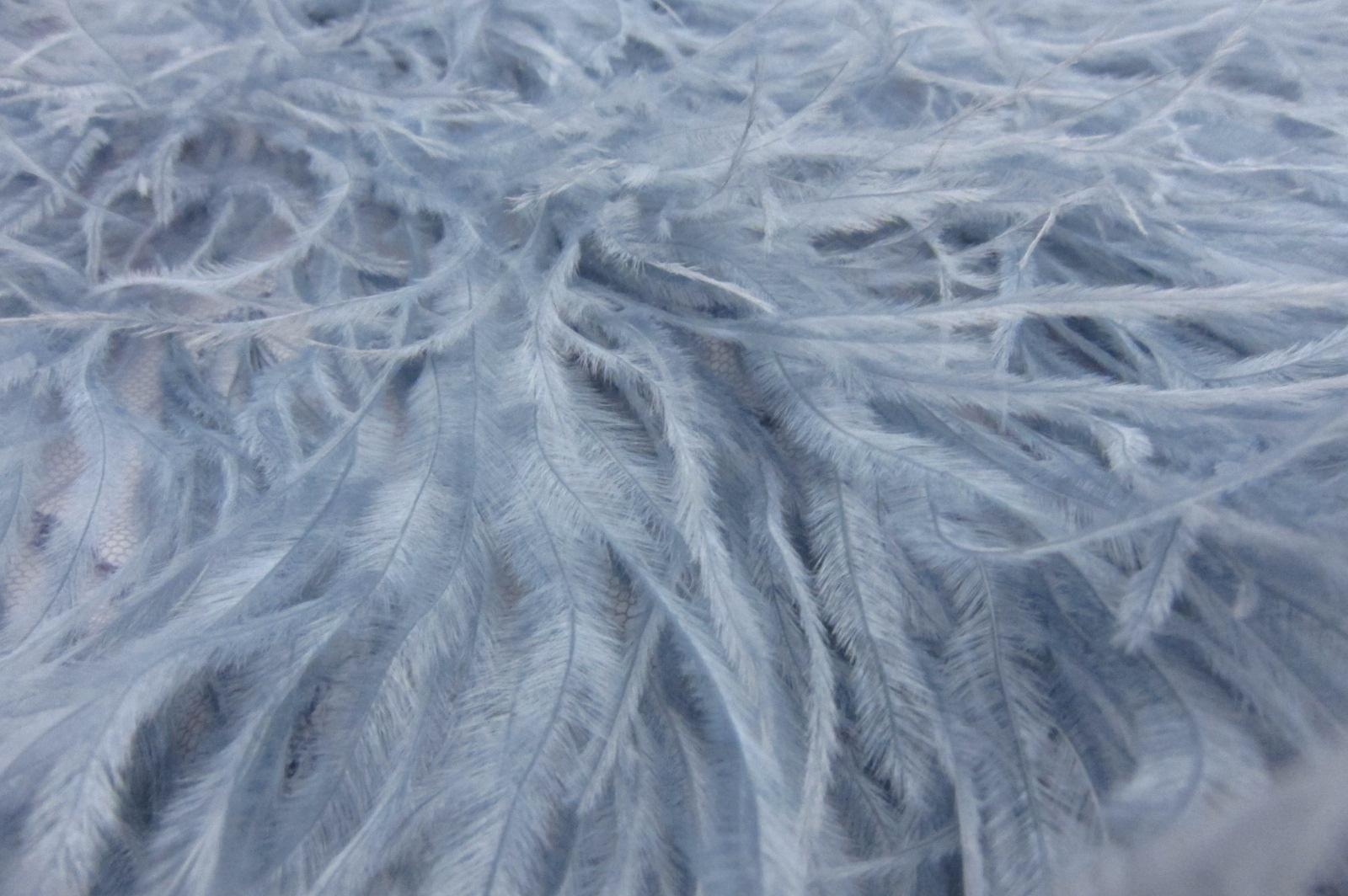 Ostrich Feather Trimmed Illusion2