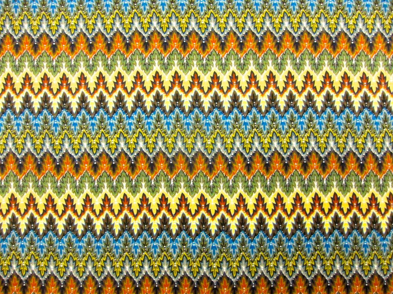 Printed Silk Charmeuse0