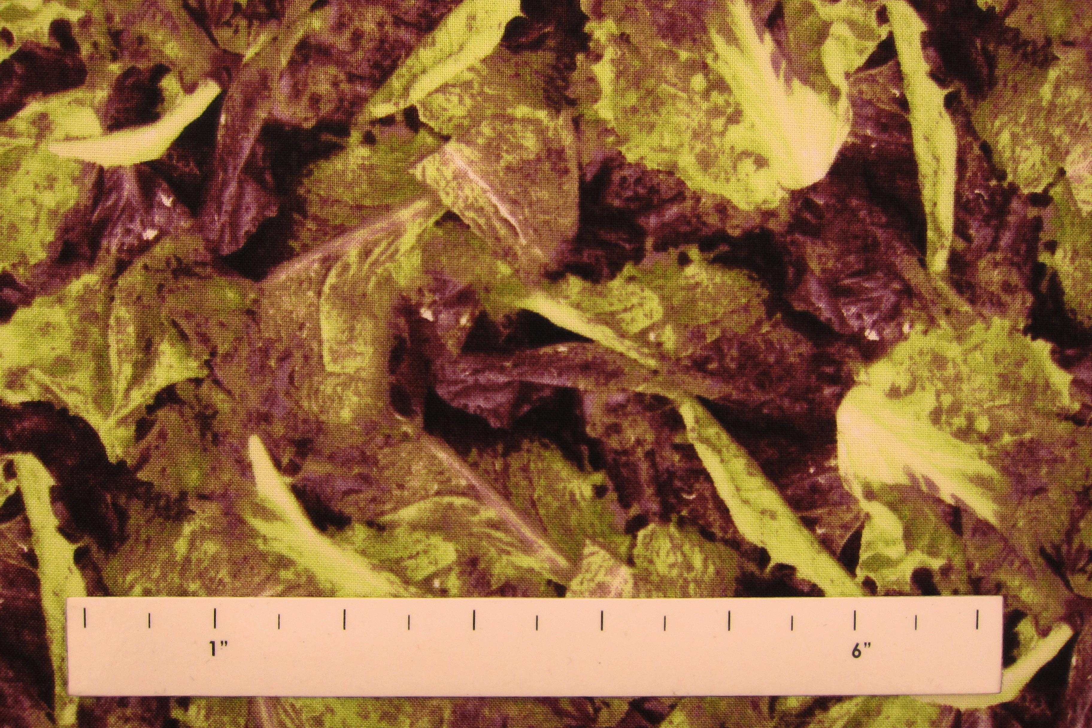 Cotton Broadcloth Print1