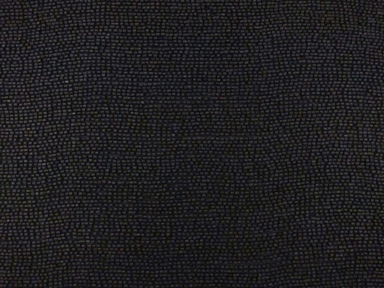 Bugle Beads on Silk Chiffon0