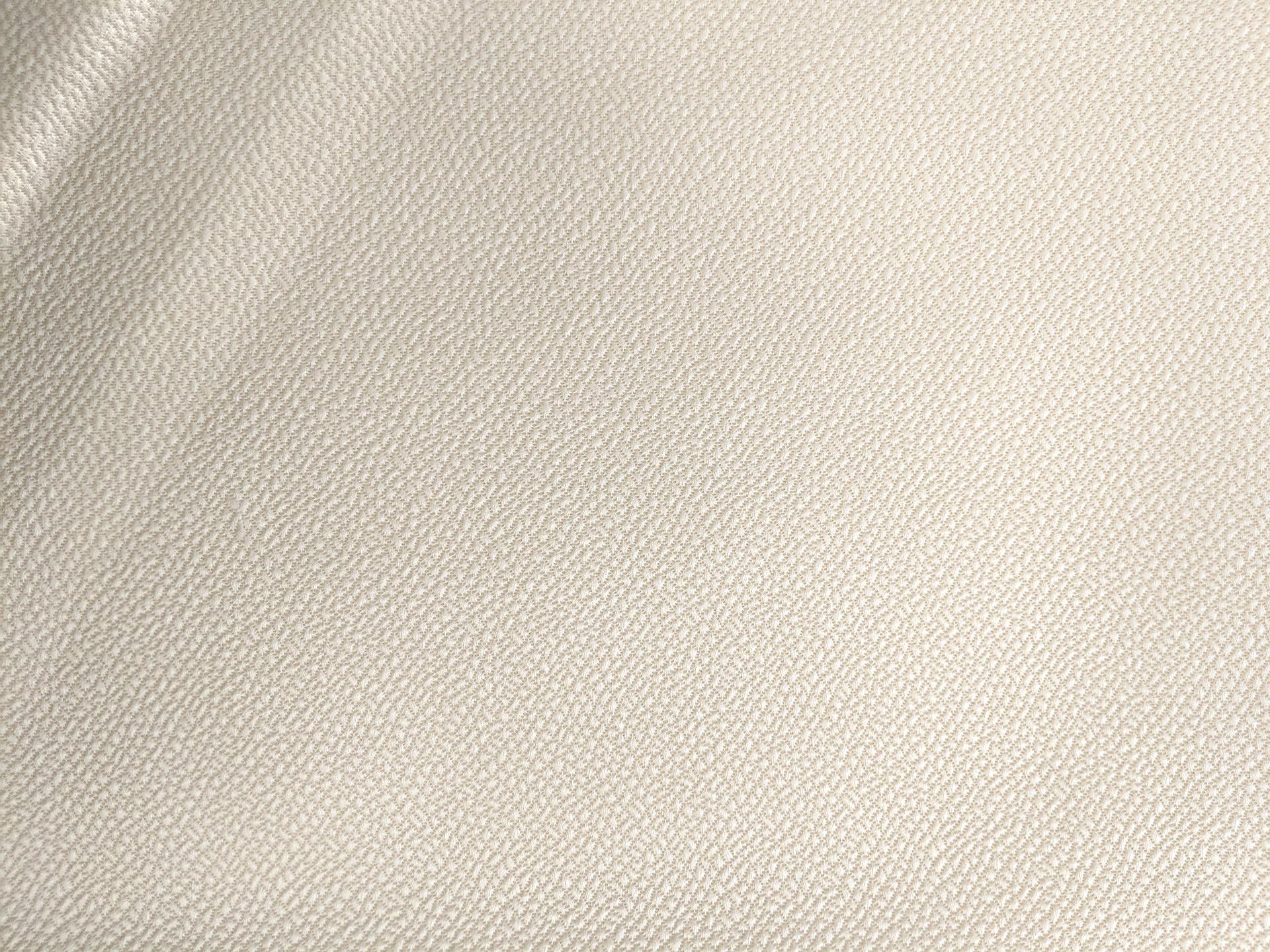 Silk and Wool Hammered Satin in Ivory