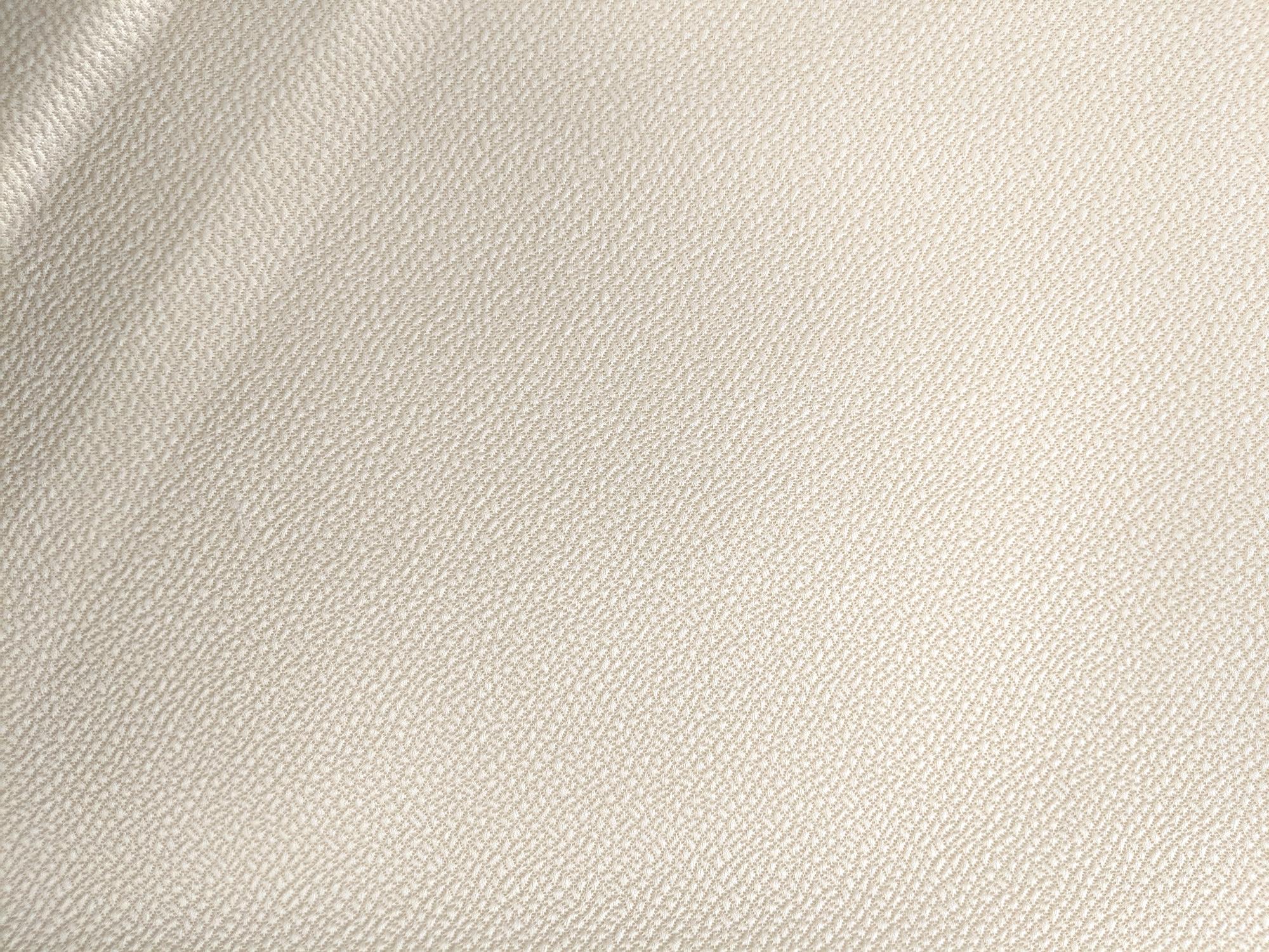 Silk and Wool Hammered Satin in Ivory