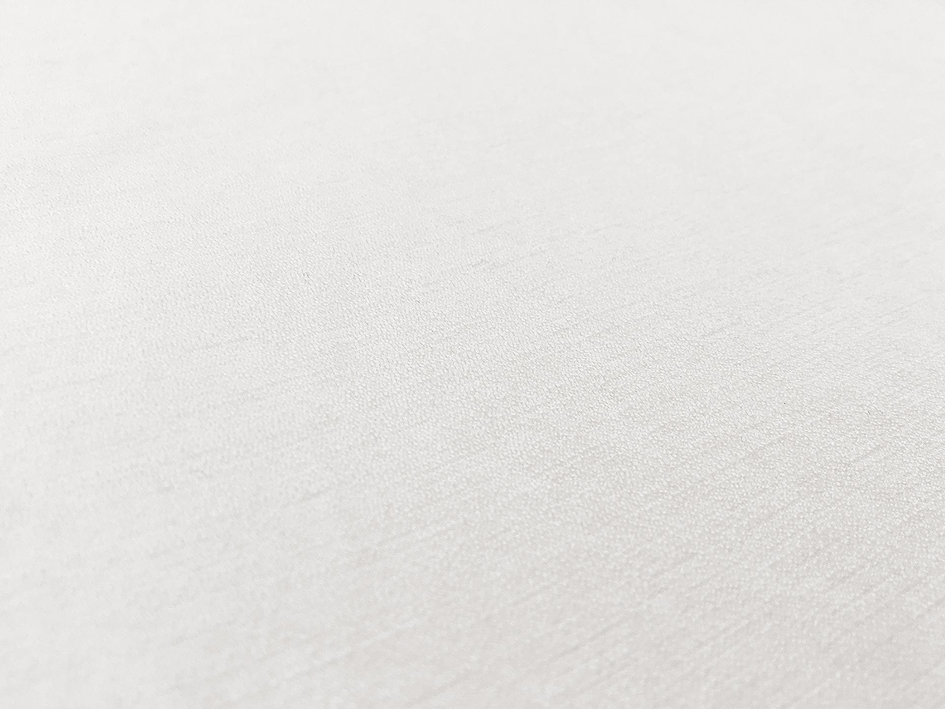 Rayon Nylon Crepe in Off White