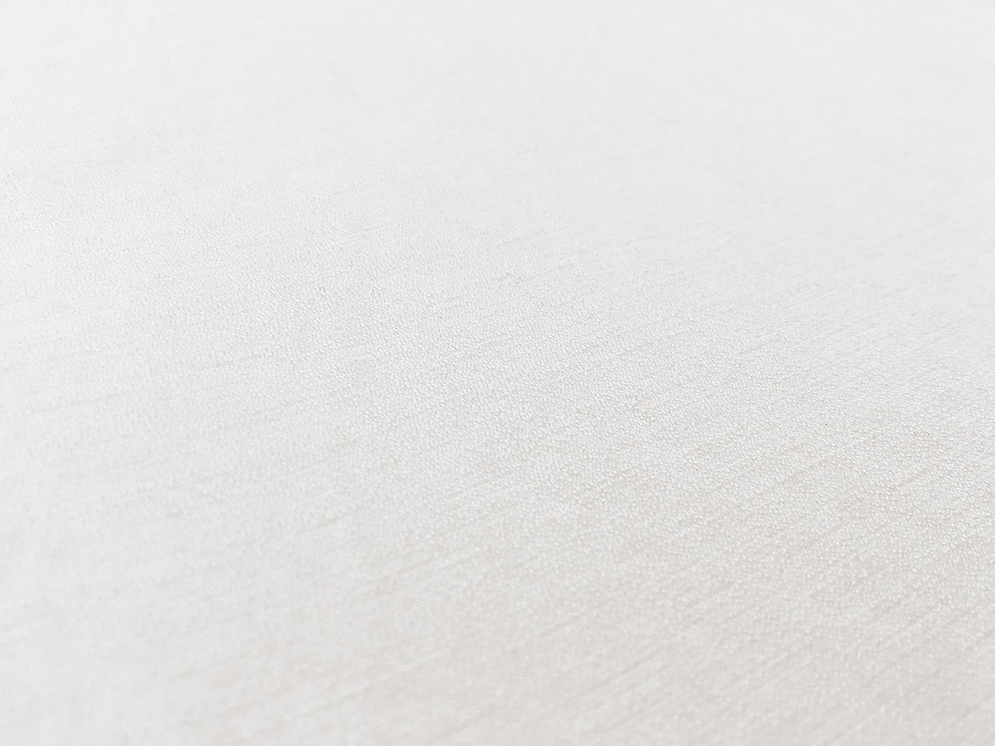 Rayon Nylon Crepe in Off White