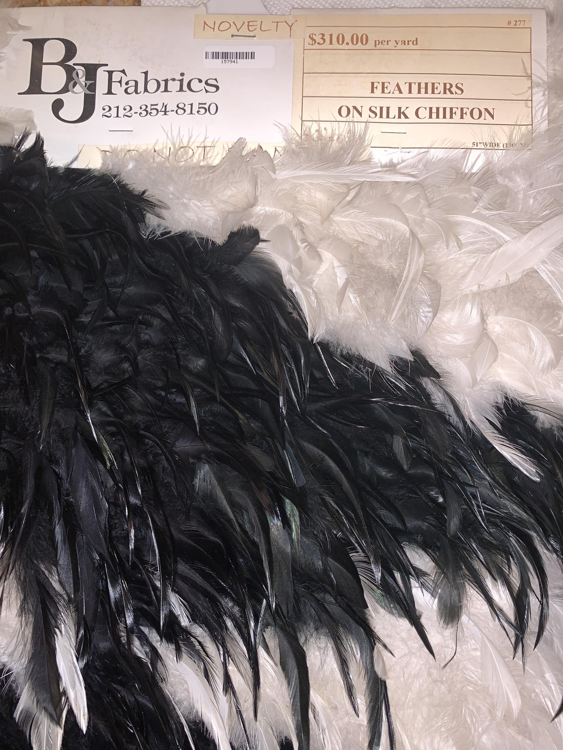 Feathers on Silk Chiffon