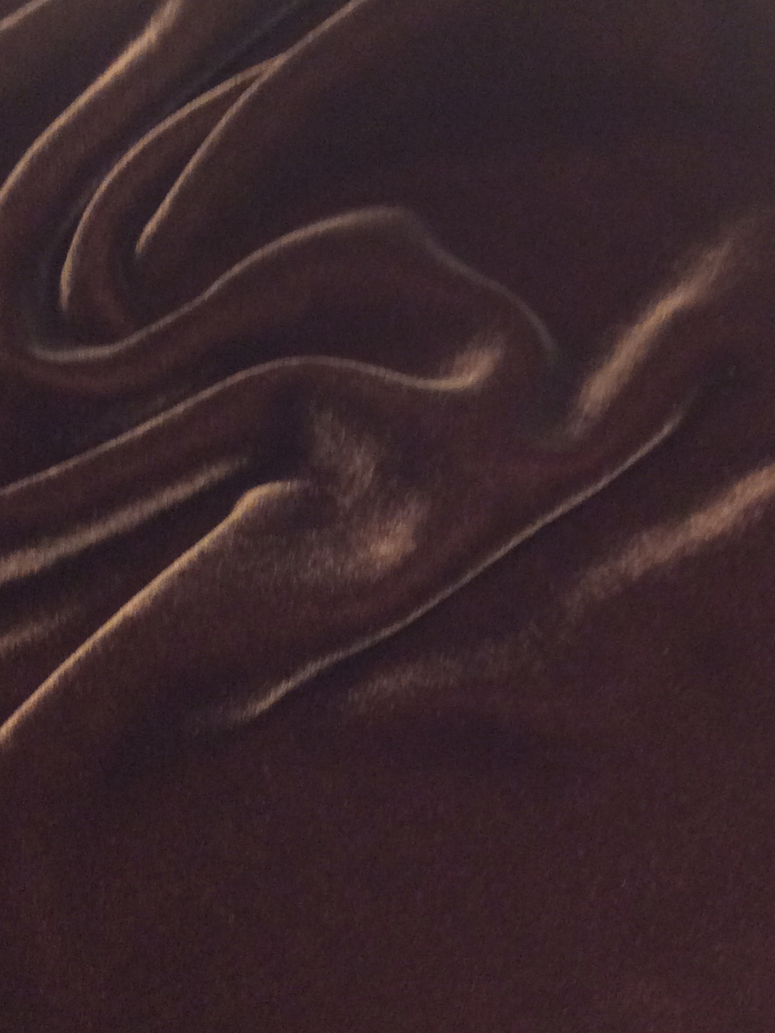 Silk Rayon Velvet in Dark Brown