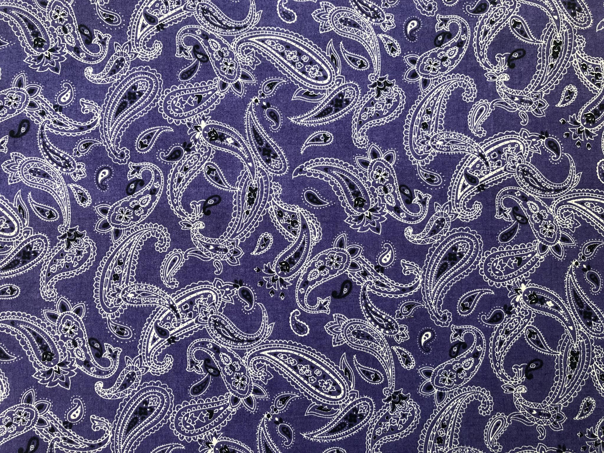 Paisley 1