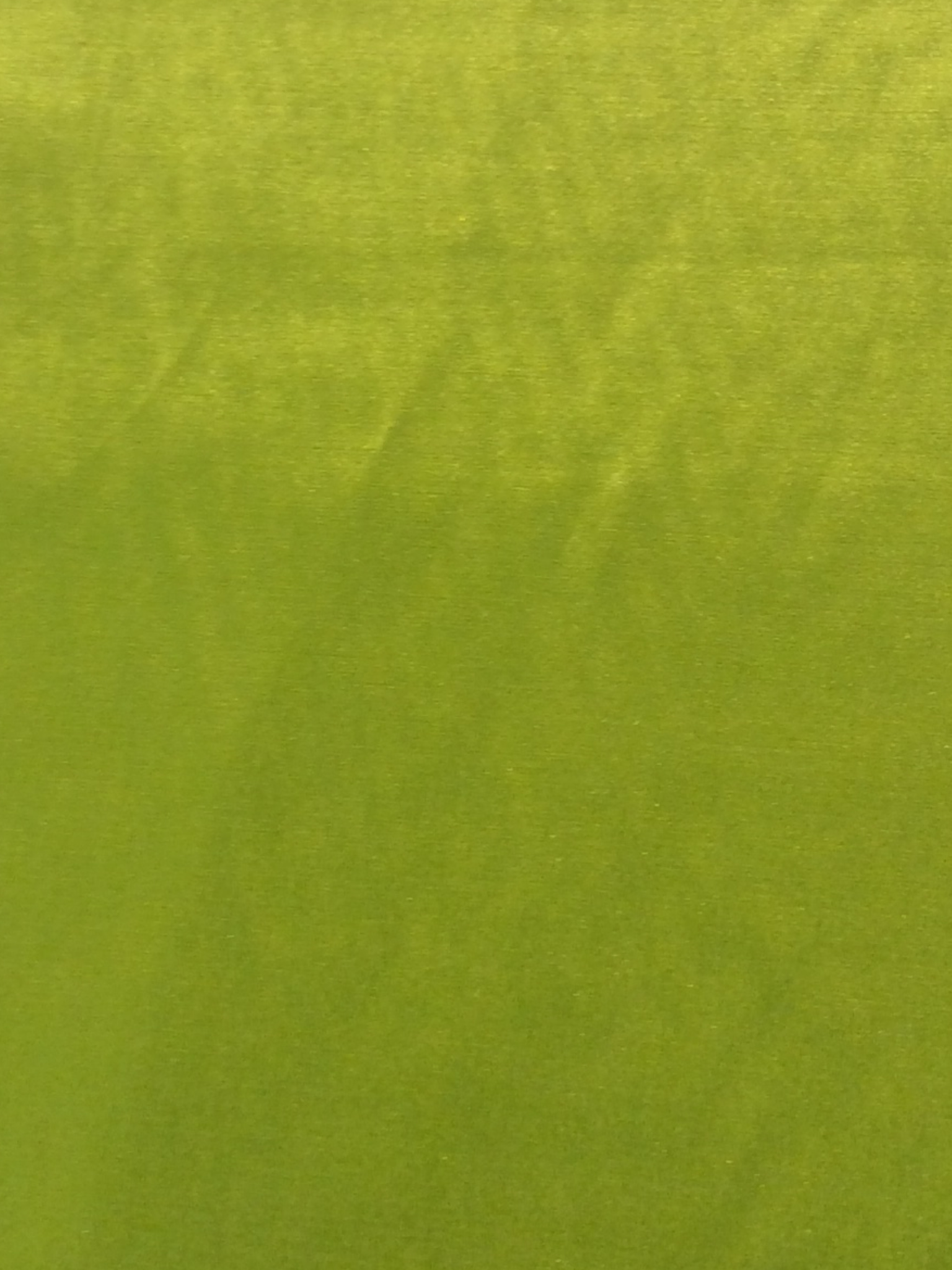 Cotton-Silk-Lycra Sateen in Lime