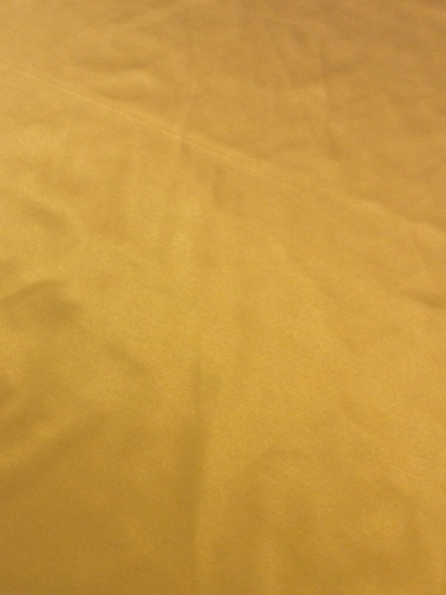 Cotton-Poly-Lycra Sateen in Gold