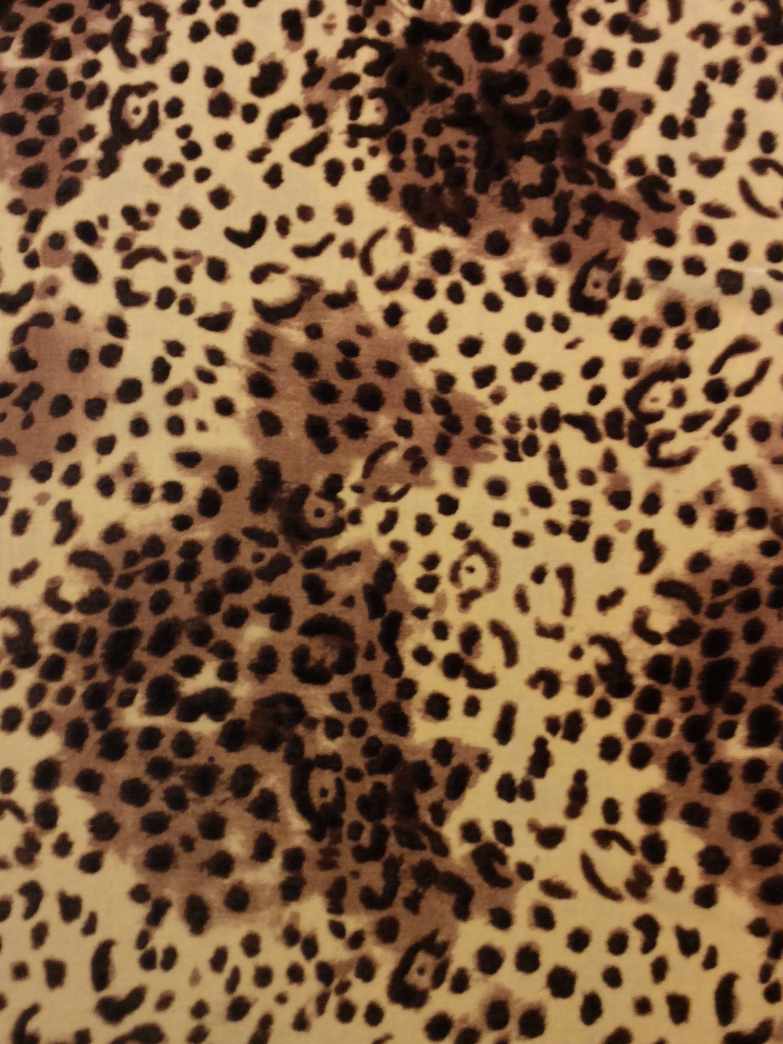 Animal Print Silk Rayon Velvet
